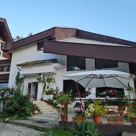 Hotel Randunica Văliug Exteriér fotografie