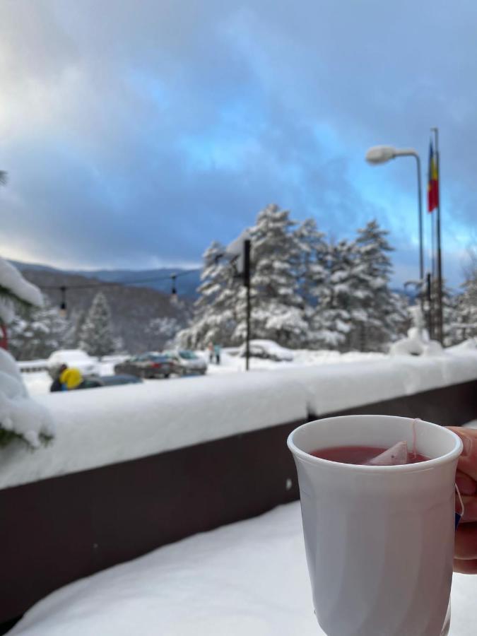 Hotel Randunica Văliug Exteriér fotografie