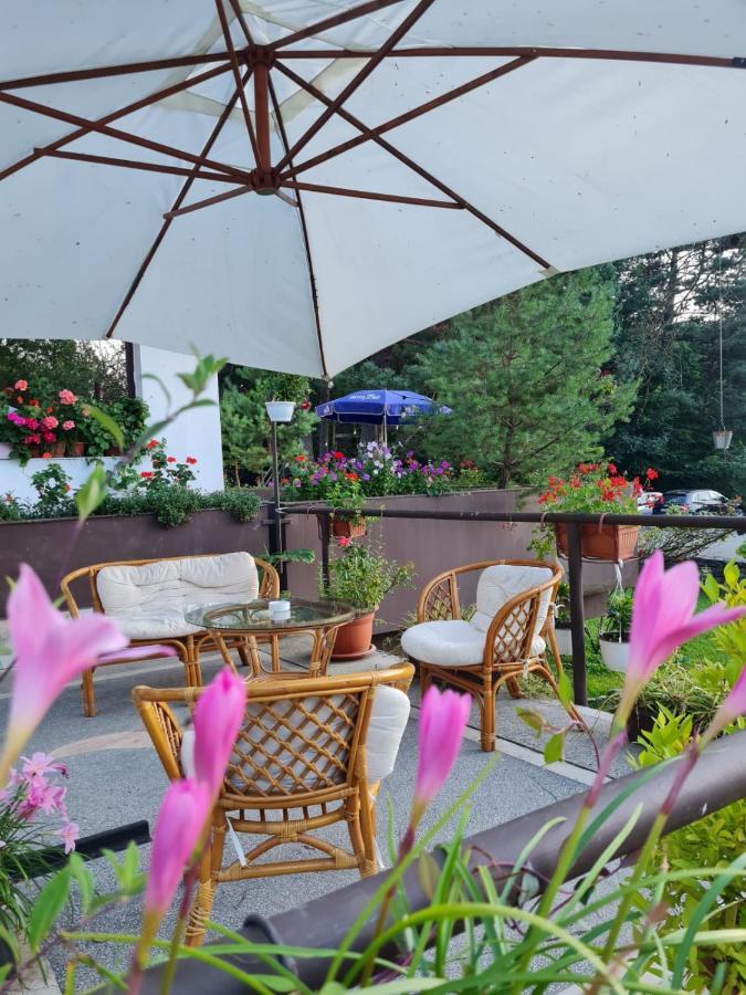 Hotel Randunica Văliug Exteriér fotografie