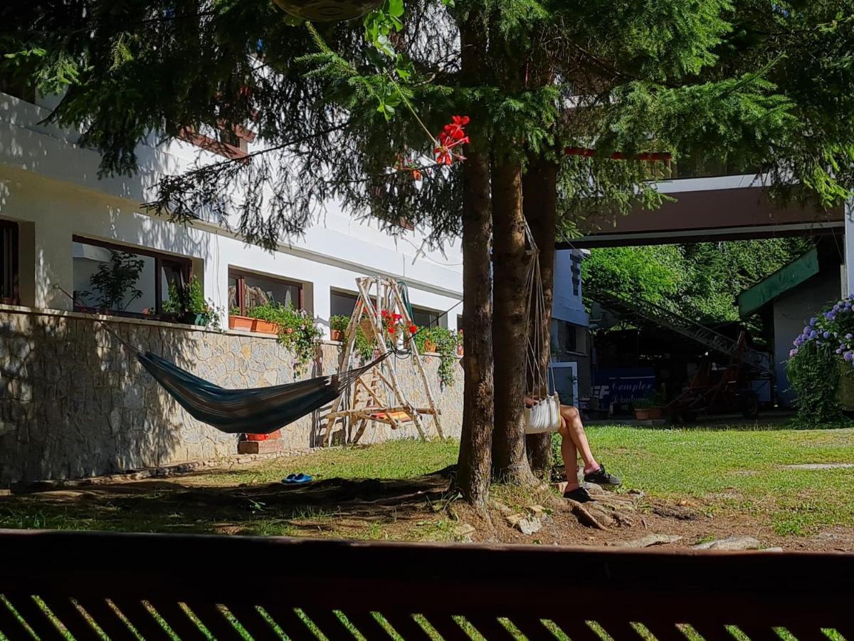 Hotel Randunica Văliug Exteriér fotografie