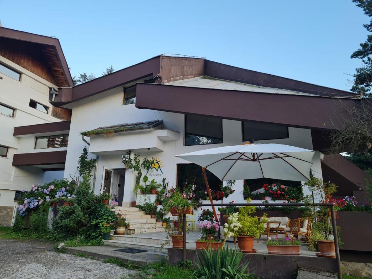 Hotel Randunica Văliug Exteriér fotografie