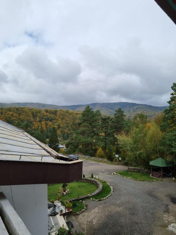 Hotel Randunica Văliug Exteriér fotografie