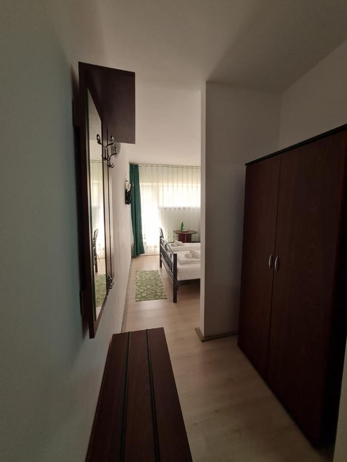 Hotel Randunica Văliug Exteriér fotografie